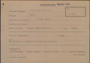 Eintrag in der Bundeszentralkartei (Teil des Testsamples): Hellenthal, Maria