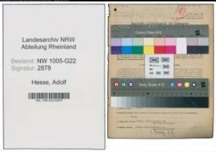 Entnazifizierung Adolf Hesse , geb. 10.09.1904 (Kaufmann)