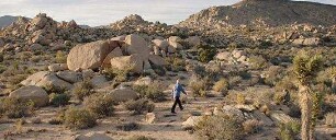 Where is Rocky II?