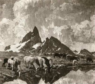 Schafe am Bergsee : Schafe am Bergsee. Ölgemälde (um 1930; G. Hänel)