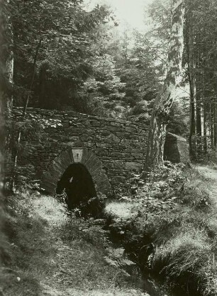 Osterzgebirge. Bobritzschtal. Grabentour, Mundloch (Austritt) der Buchenbornrösche am Monumentsweg