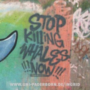 STOP KiLLiNG WHALES !!!NOW!!!
