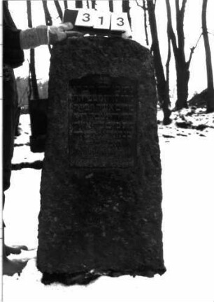 Grabstein 313