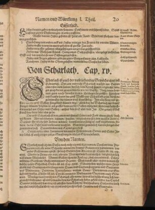 Von Scharlach, Cap. XV
