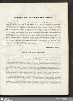Beiträge von Hermann von Meyer