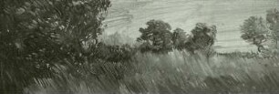 Wiesenstudie