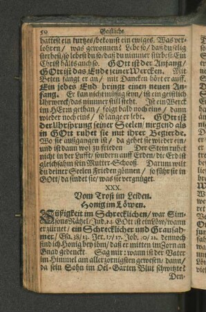 XXX. Vom Trost im Leiden. Honig im Löwen.