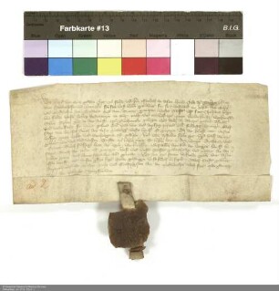 Grenz- und Jurisdiktionslinie zwischen Friedberg-Scheer und Königsegg-Aulendorf Maßstab ca. 1 : 4000 Zeichner: Joseph Musch col. handgez.