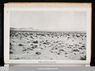 Steppe mit Zwergsträuchern