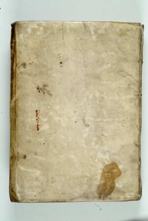 Wilhelmus Procurator