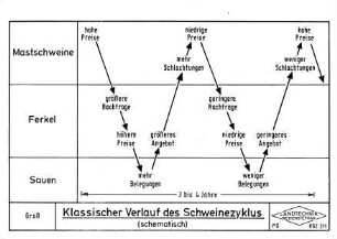 Klassischer Verlauf des Schweinezyklus (schematisch)