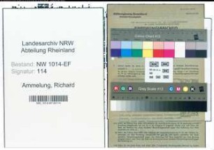 Entnazifizierung Richard Ammelung , geb. 31.10.1899 (Vertreter)