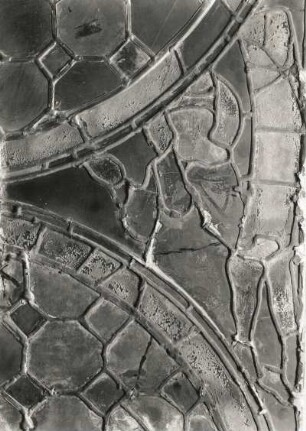 Erfurt. Barfüßerkirche. Chor, Farbige Glasfenster (nach der Restaurierung 1960), Nordostfenster, Mittelbahn. Zeile 9: Zwei sitzende Propheten. Zustandsaufnahme: Rückseite (Auflicht), Ausschnitt: linker Prophet