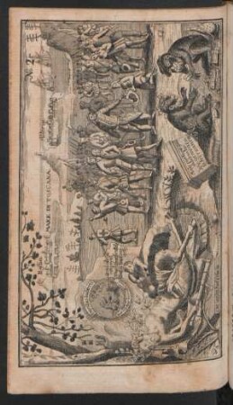 No. 2. Curioses Aufsehen