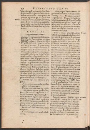 Argumentum & summa.