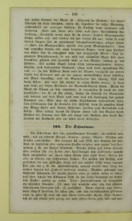 100. Die Schwämme