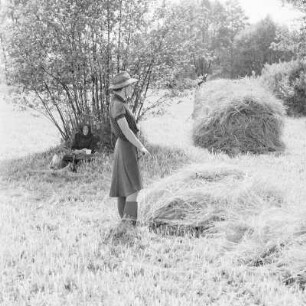 Das Heuschobern. Das Heu wird auf das Holzgestell geschichtet. : Kopjenje ,,Stog". Syno so na drjewjany košćowc worštuje.