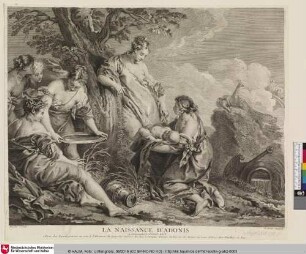 LA NAISSANCE D'ADONIS