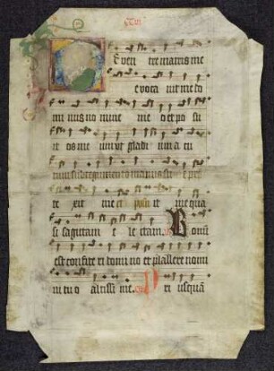 Historisierte Initiale: D(eventre matris): Hund jagt Hirsch