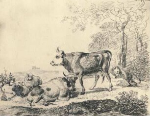 Hirte mit Kühen und Ziegen : Klengel-Album von Kirchbach. Hirte mit Kühen und Ziegen. Graphit (vor 1824; J. C. Klengel)