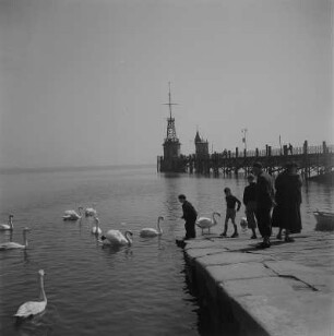 Konstanz. Hafen, Spaziergänger füttern Schwäne