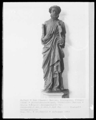 Petrus