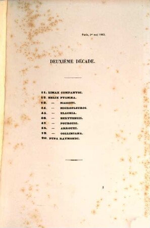 Mollusques nouveaux, litigieux on peu connus, 2