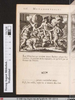 Nourices de Bachus rajeunies.