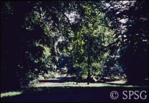 Potsdam, Park Babelsberg, Sitzplatz.