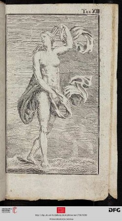Tab. XIII [Weibliche Figur]