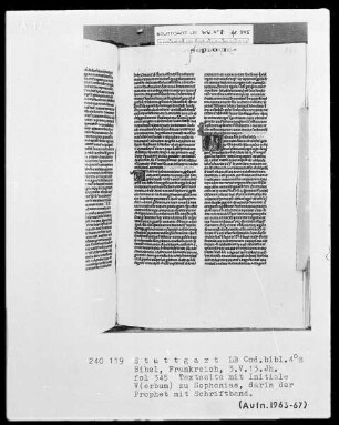 Lateinische Taschenbibel — Initiale V (erbum), darin der Prophet Sophonias, Folio 345recto