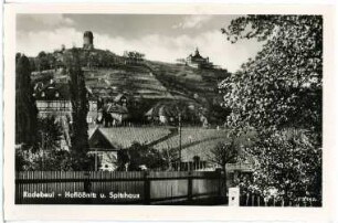 Radebeul. Hoflößnitz - Spitzhaus
