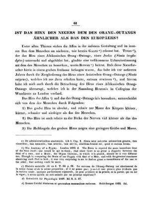 Ist das Hirn des Negers dem des Orang-Outangs ähnlicher als das des Europäers?