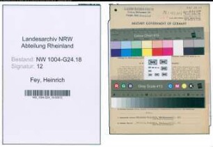 Entnazifizierung Heinrich Fey , geb. 24.06.1909 (Betriebsfuehrer)