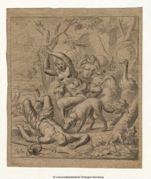 Venus und Adonis