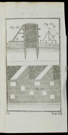 Tab. VII. fig. 26. & fig. 27