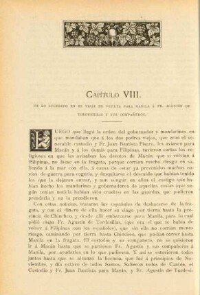 Capítulo VIII