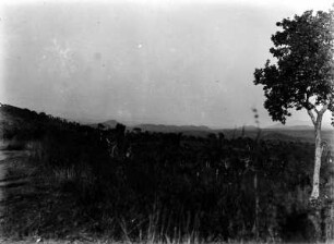 Landschaft : Blick über die bewaldete Landschaft bei Mbozi