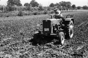 Ihringen: Traktor auf Feld