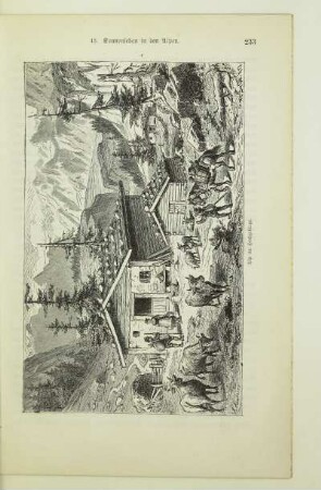 Alp im Hochgebirge