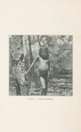 Plate 16. A Village Veddah boy