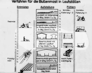 Verfahren für die Bullenmast in Laufställen