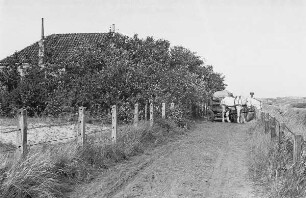 Zweiter Weltkrieg. Niederlande unter deutscher Besatzung. Weg mit Pferdefuhrwerk in Dünen an der Nordsee (wohl bei Den Haag)
