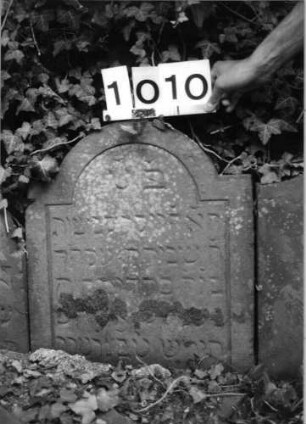 Grabstein 1010 (Index: 99630513) Material: Sandstein Zustand: stark verwittert, eingesunken, Textverlust Maße HxBxT: 55x50x6 cm Beschreibung: Stele mit eingezogenem Segmentbogenabschluß, Schriftfeld eingetieft: Grabstein 1010