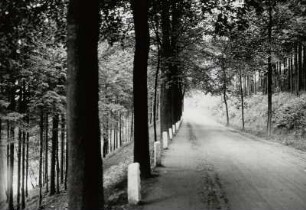 Straße nach Scharfenstein