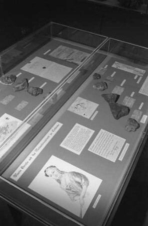 Museum am Friedrichsplatz (Naturkundemuseum). Sonderausstellung anlässlich des 200. Todestags der Kaiserin Maria Theresia von Habsburg