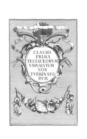 b. Classis Prima Testaceorum Univalvium non Turbinatorum
