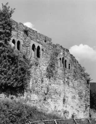 Neckarsteinach. Hinterburg (um 1100). Teilansicht