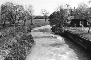 Spreetal-Burghammer. Kleine Spree, hier angereichert durch Grubenabwässer