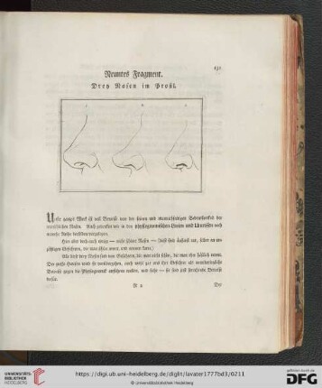 Neuntes Fragment